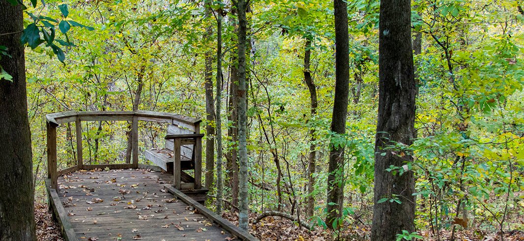 Louisiana State Arboretum, United States
